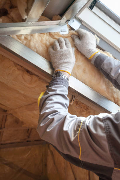 Best Cellulose Insulation in Wrightsboro, NC