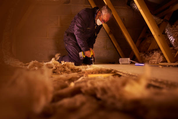 Best Eco-Friendly Insulation in Wrightsboro, NC